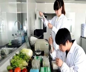 食品安全檢測整體方案